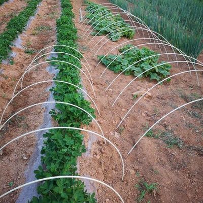 Poteaux de plantes en FRPG anti-âge personnalisables pour la coupe de support de jardin ou d'arbre selon les besoins