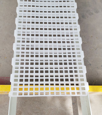 1200x500x50mm Poulets Poulet ferme maison de sol en plastique à travées Design industriel