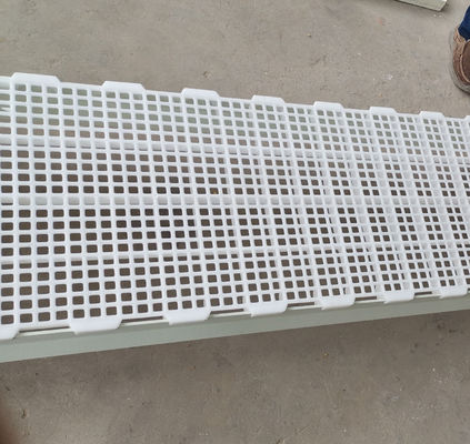 1200x500x50mm Poulets Poulet ferme maison de sol en plastique à travées Design industriel