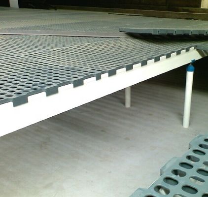 La poutre de plancher en FRP est parfaitement conçue pour l'élevage de poulets et de canards.