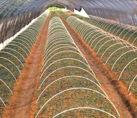 1m à 11,6m Longueur de la tige de fibre de verre FRP GFRP lisse pour le support de tunnel agricole