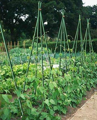 1m à 11,6m Longueur Poteaux en fibre de verre haute résistance pour les tomates et les haricots